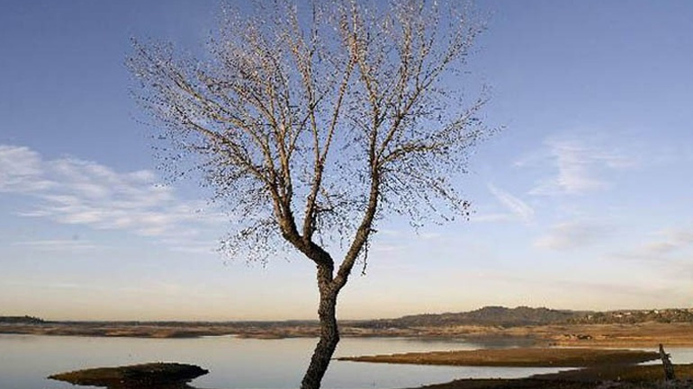 Αναγκαία η μείωση των εκπομπών αερίων θερμοκηπίου στην Ευρωπαϊκή Ένωση κατά 90-95% το 2040