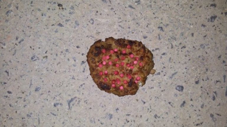 Κομοτηνή: Έγραψε γράμμα σε αυτόν που ρίχνει φόλες στο χωριό της