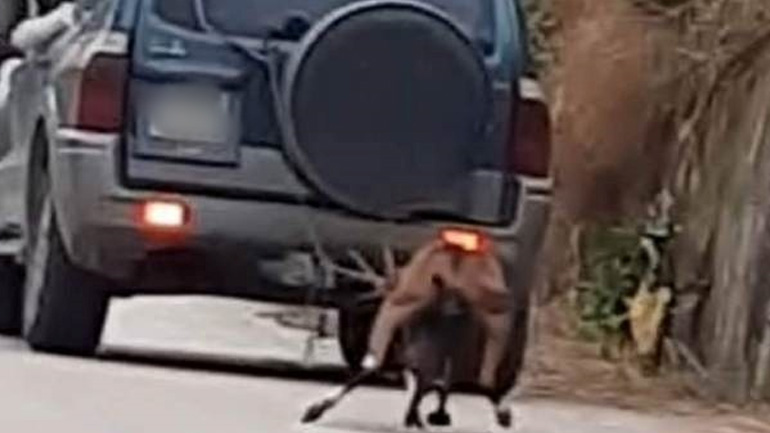 Ζάκυνθος: Πρόστιμο 30.000 ευρώ στον 63χρονο που έσερνε κατσίκα με το αυτοκίνητο του