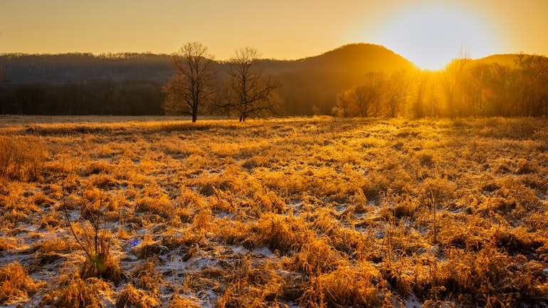 Η θερμοκρασία στην Ευρώπη αυξήθηκε κατά 2,3°C σε σχέση με την προβιομηχανική εποχή