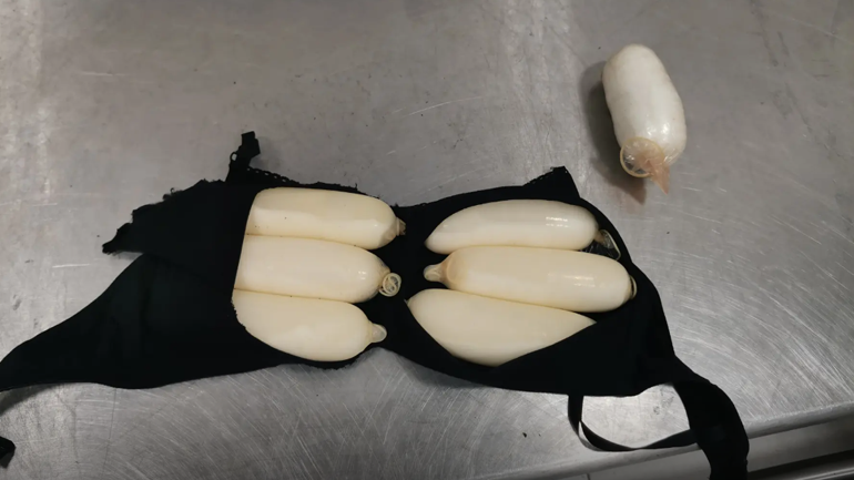 Βραζιλιάνα φορτωμένη με κοκαΐνη συνελήφθη στο «Ελ. Βενιζέλος» – Είχε κρύψει ναρκωτικά και στο σουτιέν της Βραζιλιάνα φορτωμένη με κοκαΐνη συνελήφθη στο «Ελ. Βενιζέλος» – Είχε κρύψει ναρκωτικά και στο σουτιέν της