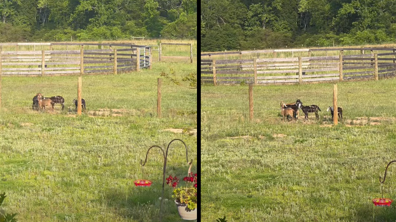 Όλα εντάξει;