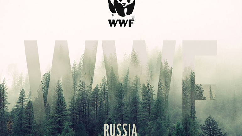 Ρωσία: Η WWF χαρακτηρίστηκε ανεπιθύμητη οργάνωση