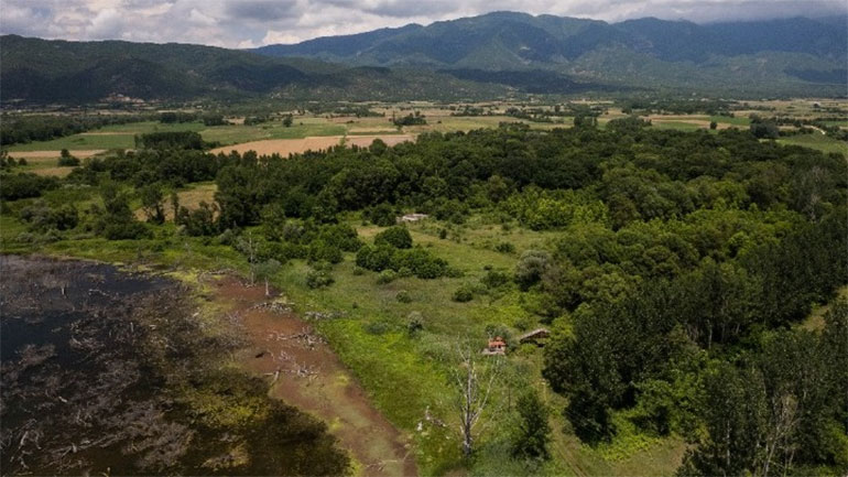 Δάσος των Μουριών, ένα διατηρητέο μνημείο της φύσης – Γίνεται επισκέψιμο στο κοινό έπειτα από 20 χρόνια Δάσος των Μουριών, ένα διατηρητέο μνημείο της φύσης – Γίνεται επισκέψιμο στο κοινό έπειτα από 20 χρόνια