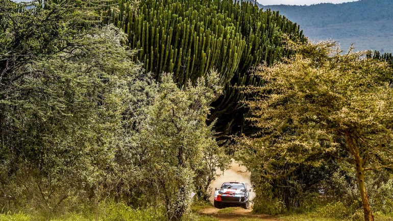 Elfyn Evans- Scott Martin