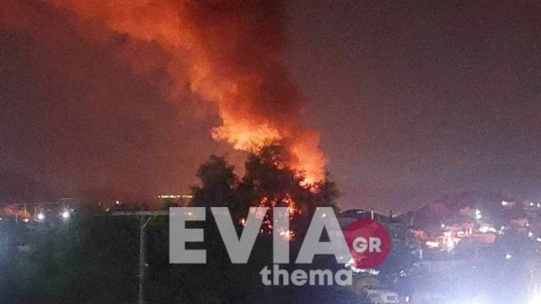 Εύβοια: Στις φλόγες τυλίχτηκαν δύο σπίτια στη Χαραυγή