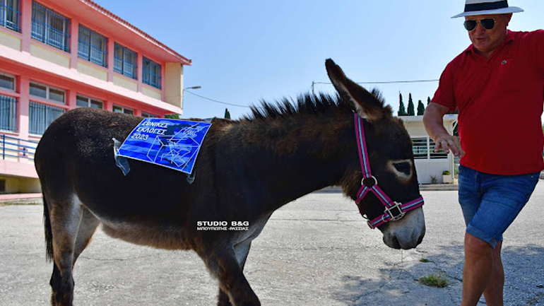 Ναύπλιο: Με γαϊδουράκι στην κάλπη ως… διαμαρτυρία