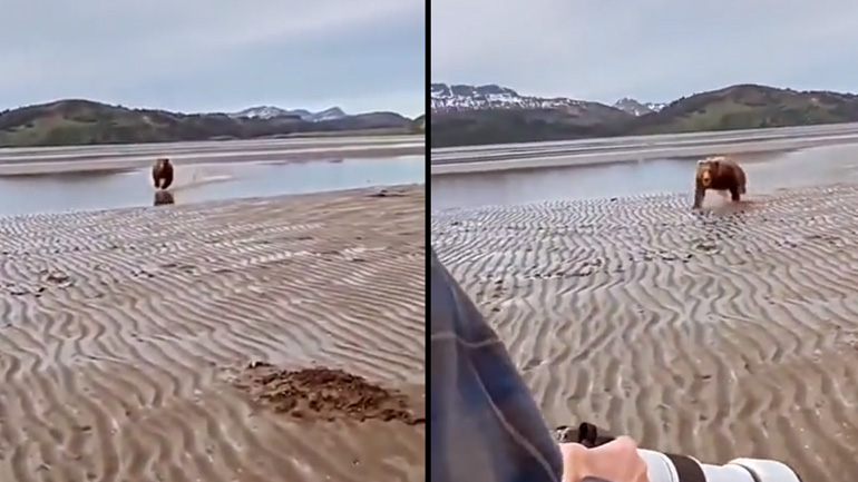 Φωτογράφος εναντίον αρκούδας 