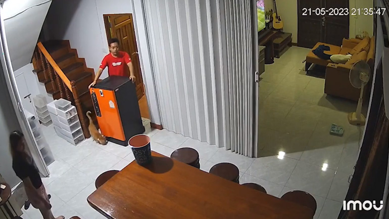 Γάτα ξαφνικά επιτίθεται στους ιδιοκτήτες της