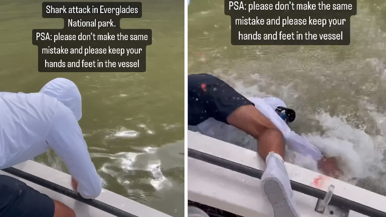 Kαρχαρίας αρπάζει το χέρι ενός ψαρά -Φλόριντα