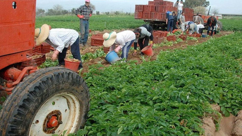 200 εκατ. ευρώ σε 630.000 δικαιούχους αγρότες καταβάλλει σήμερα ο ΟΠΕΚΕΠΕ