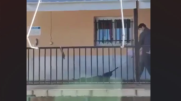 Μήνυση για κακοποίηση ζώου σε Κέντρο Περίθαλψης Αδέσποτων Ζώων: «Τραβούσε με βία το σκύλο…»