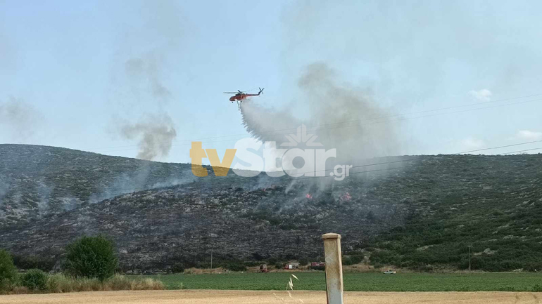 Πυρκαγιά σε χαμηλή βλάστηση στο Ακόντιο Βοιωτίας