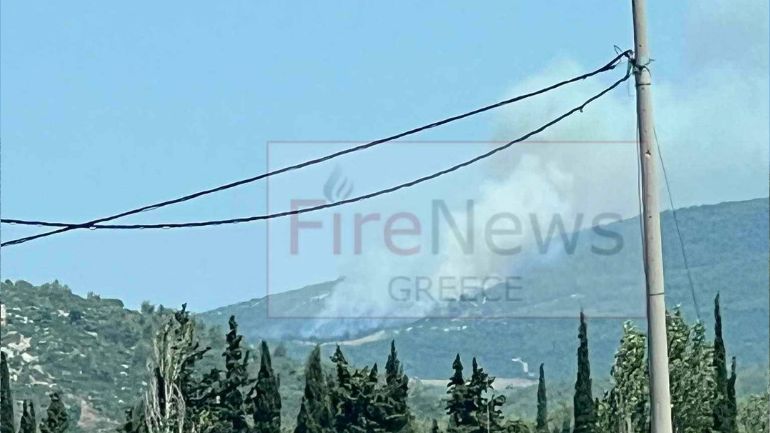 Πυρκαγιά σε δασική έκταση στο Μαρκόπουλο Ωρωπού