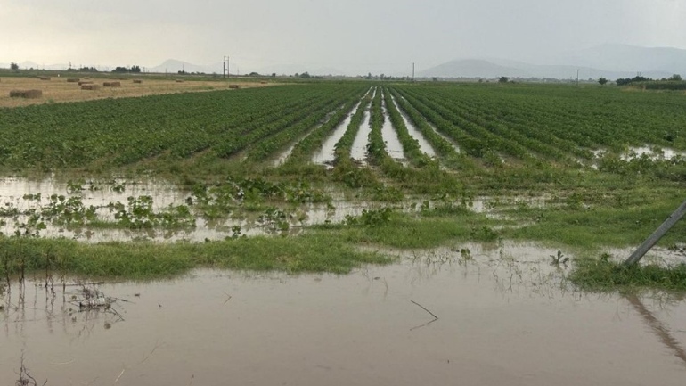 Καρδίτσα: Ζημιές σε καλλιέργειες από βροχόπτωση και χαλαζόπτωση στο Δήμο Σοφάδων