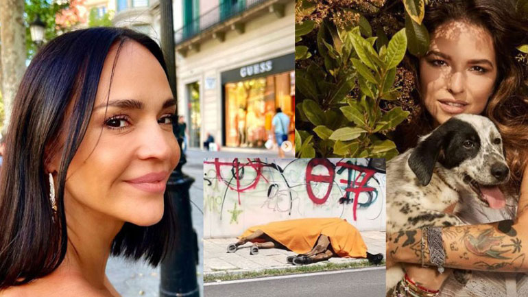 Κέρκυρα: Έντονες αντιδράσεις στα social media για το νεκρό άλογο – «Θυμός , θλίψη και απελπισία μαζί»