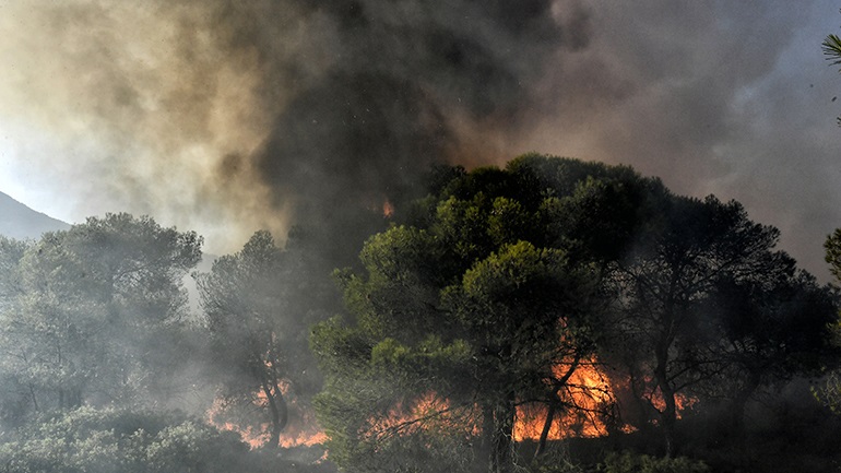 Υπό μερικό έλεγχο η πυρκαγιά στη Σάμο – Επιχειρούν επίγειες και εναέριες δυνάμεις