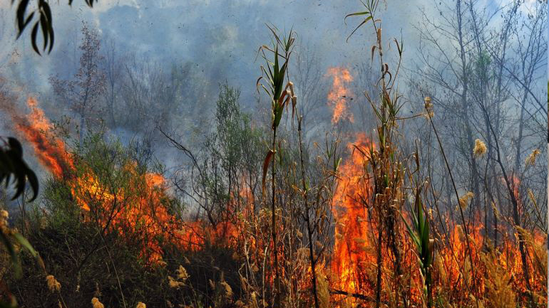 Υπό μερικό έλεγχο η φωτιά στον Άγιο Βασίλειο