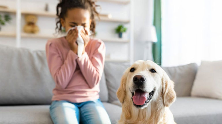 Τι να κάνετε για να μη μυρίζει ο σκύλος