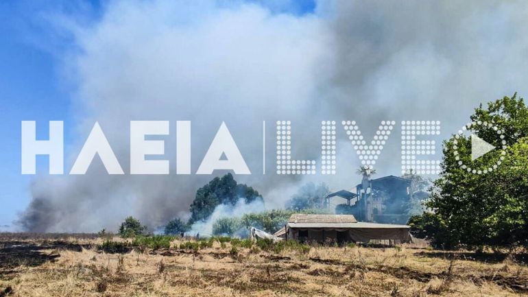 Πυρκαγιά σε χαμηλή βλάστηση στο Κορακοχώρι Ηλείας