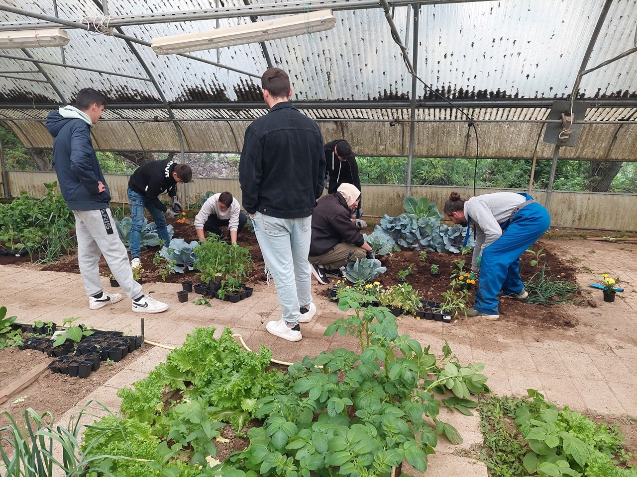 Carbon farming schools