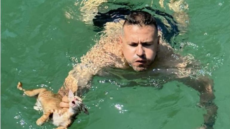 Σαλαμίνα: Μέλος πληρώματος φέρι έσωσε γατάκι που κινδύνευε να πνιγεί και το υιοθέτησε Σαλαμίνα: Μέλος πληρώματος φέρι έσωσε γατάκι που κινδύνευε να πνιγεί και το υιοθέτησε