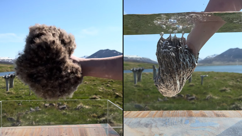 Οι υδροφοβικές ιδιότητες των πούπουλων της ισλανδικής πάπιας