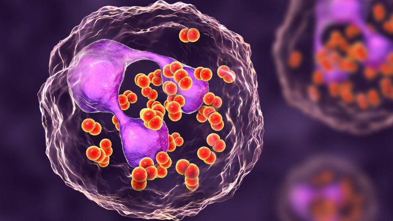 Κατανόηση της Γονόρροιας: Αιτίες, Συμπτώματα και Αγωγή