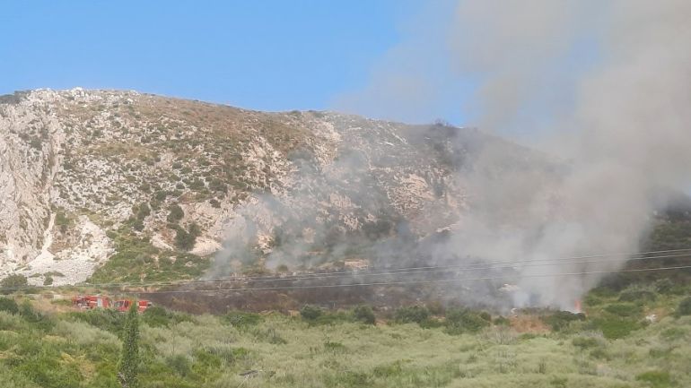 Κεφαλονιά: Πυρκαγιά σε αγροτοδασική έκταση στην περιοχή Κατελειός