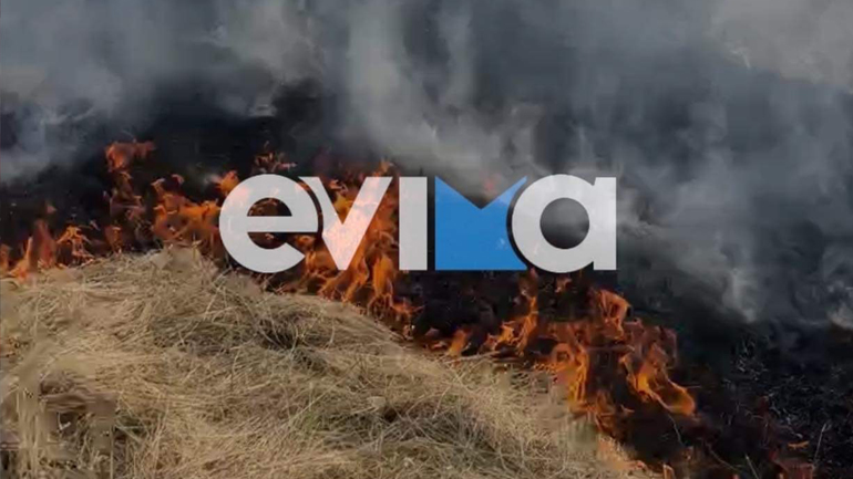 Υπό έλεγχο η φωτιά στην Εύβοια στην περιοχή Πανόραμα