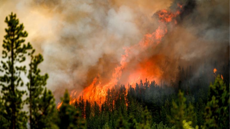 Καναδάς: Εκατοντάδες πυρκαγιές μαίνονται στη χώρα – Νεκρή μια 19χρονη πυροσβέστρια
