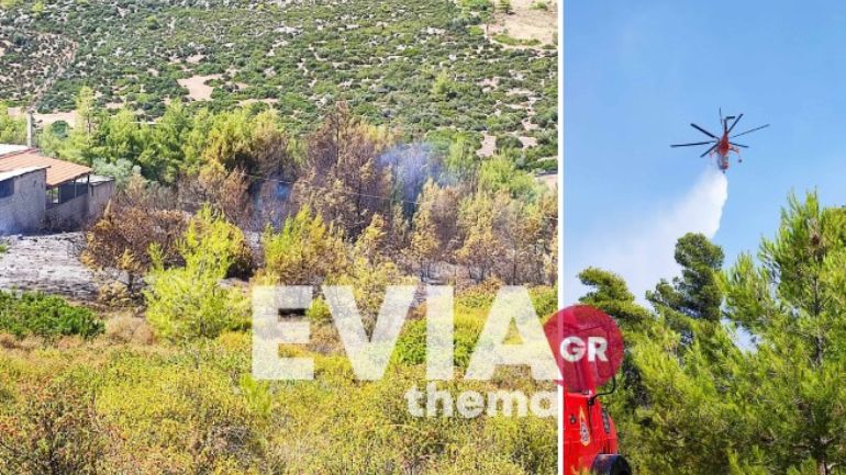 Εύβοια: Φωτιά κοντά στο μοναστήρι του Αγίου Γεωργίου Αρμά