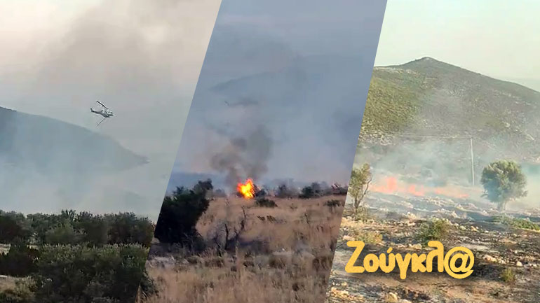 Οριοθετήθηκε η φωτιά στη Βοιωτία – Καθησυχαστικός ο δήμαρχος Θήβας στη «Ζούγκλα»