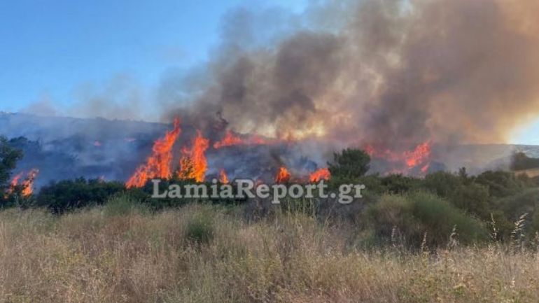 Οριοθετήθηκε η πυρκαγιά στον Προφήτη Ηλία στη Λαμία
