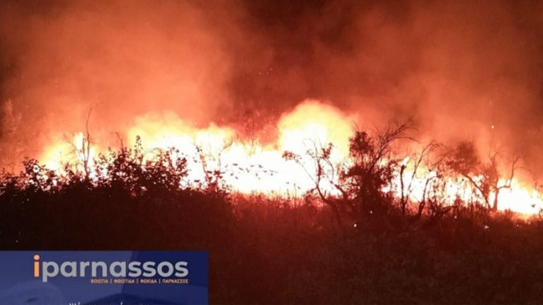 Πυρκαγιά στα Καστέλλια Φωκίδας