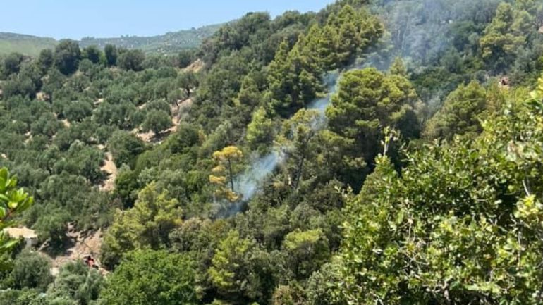 Φωτιά στη Ζαχάρω Ηλείας – Άμεσα τέθηκε υπό έλεγχο