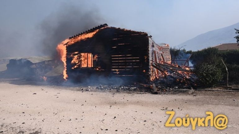 Ελεύθερος ο 32χρονος Ρουμάνος που είχε προσαχθεί ως ύποπτος για την πυρκαγιά στον Κουβαρά