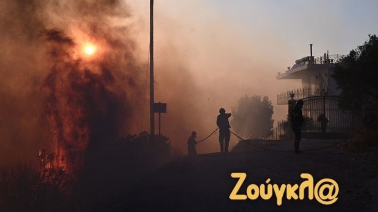 Κάηκε καταφύγιο ζώων στο Λαγονήσι – Διασώθηκαν ελάχιστα ζώα