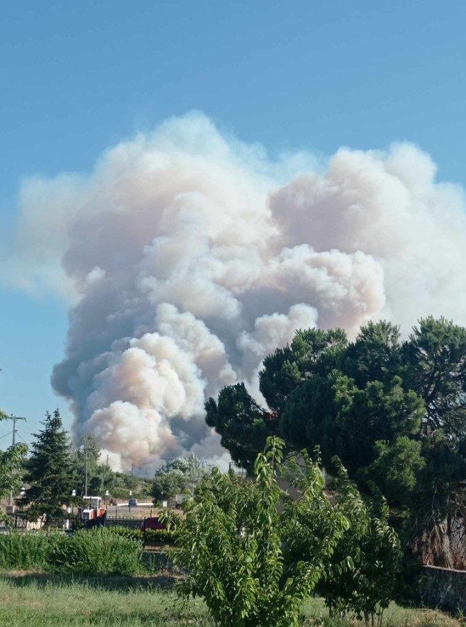 Φωτογραφία από Facebook