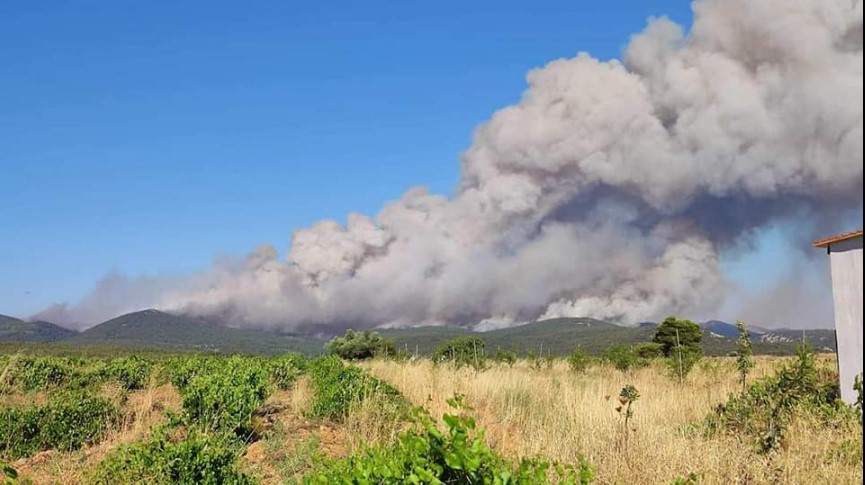 Φωτογραφία από Facebook