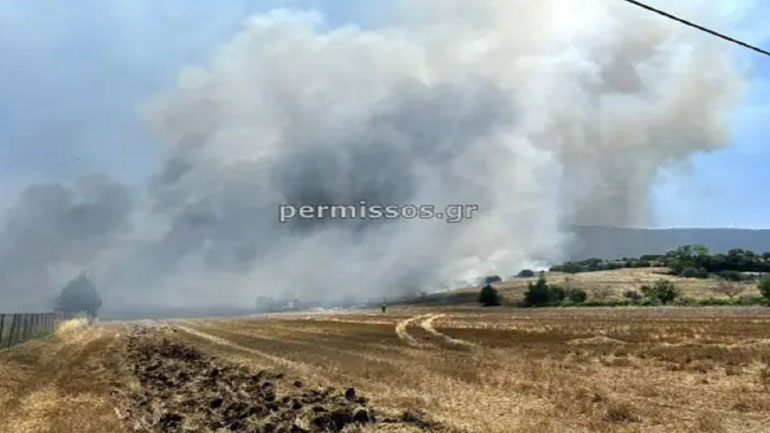 Φωτιά σε εξέλιξη στο Καπαρέλλι Βοιωτίας