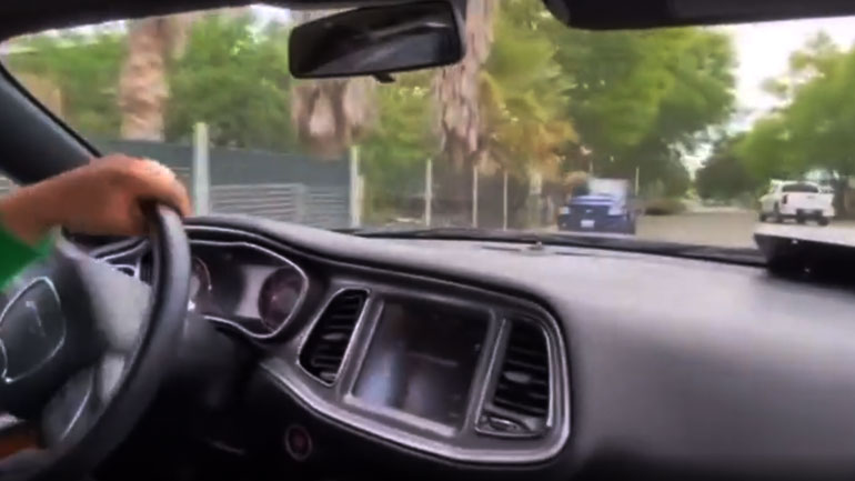 Εξαιρετικός οδηγός – Αθεράπευτα χαζός