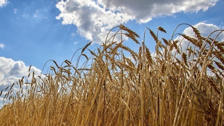 Η Ρωσία ενημέρωσε την Ουκρανία για την αναστολή της συμμετοχής της στη συμφωνία για σιτηρά