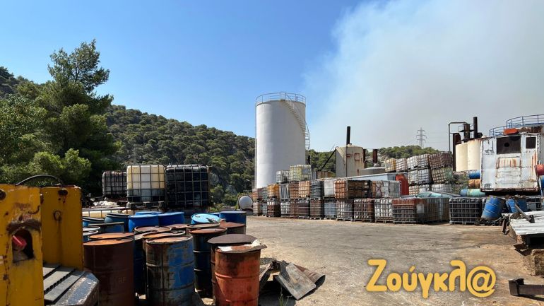 Καταγγελία αναγνώστη για Δερβενοχώρια: Χώρος φύλαξης εύφλεκτων υλικών μέσα στο δάσος!