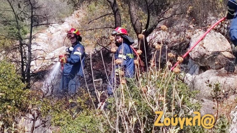 Υπό έλεγχο οι πυρκαγιές και στα δύο μέτωπα στο Δαφνί