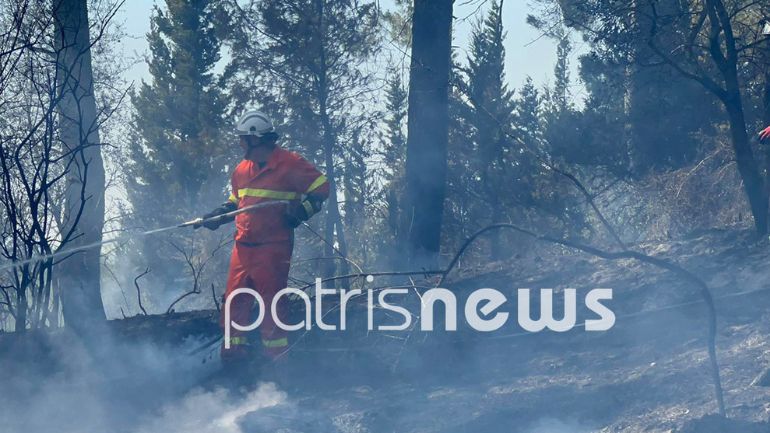 Οριοθετήθηκε η πυρκαγιά στην Ηράκλεια Ηλείας