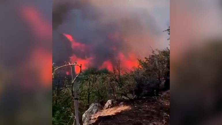 Βίντεο από την επιχείρηση της πυροσβεστικής στο Σέσκλο Μαγνησίας