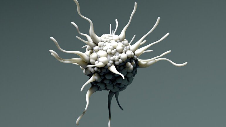 Νέα ευρήματα για το ανοσοποιητικό σύστημα