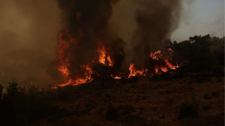 Φωτιά στην Τανάγρα – Οριοθετήθηκε άμεσα