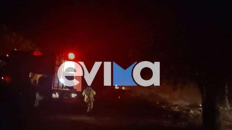 Φωτιά σε δασική έκταση στην Εύβοια